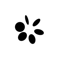OpenAI Foundation logo